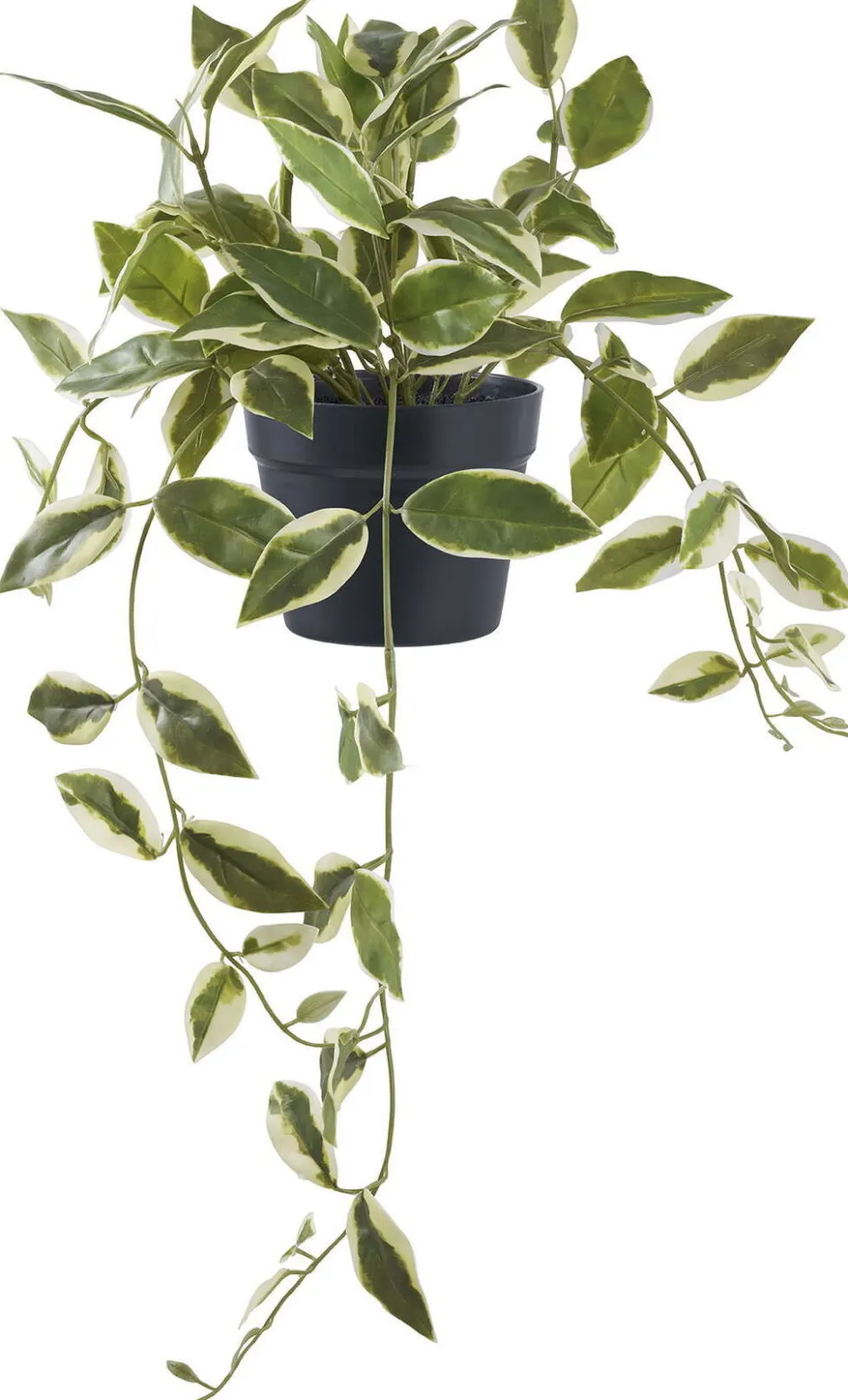House Nordic Kunstig Voksblomst H33 cm, Grøn