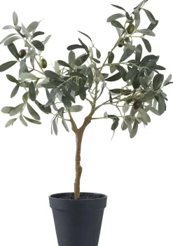 Hot Kunstigt Oliventræ H61 cm, Grøn Stue