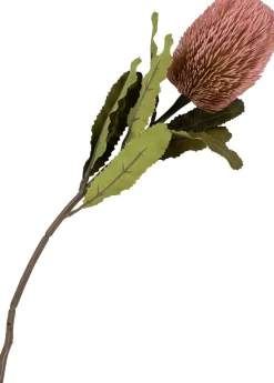 King Protea Kunstige Blomster, Rosa Mix Stue