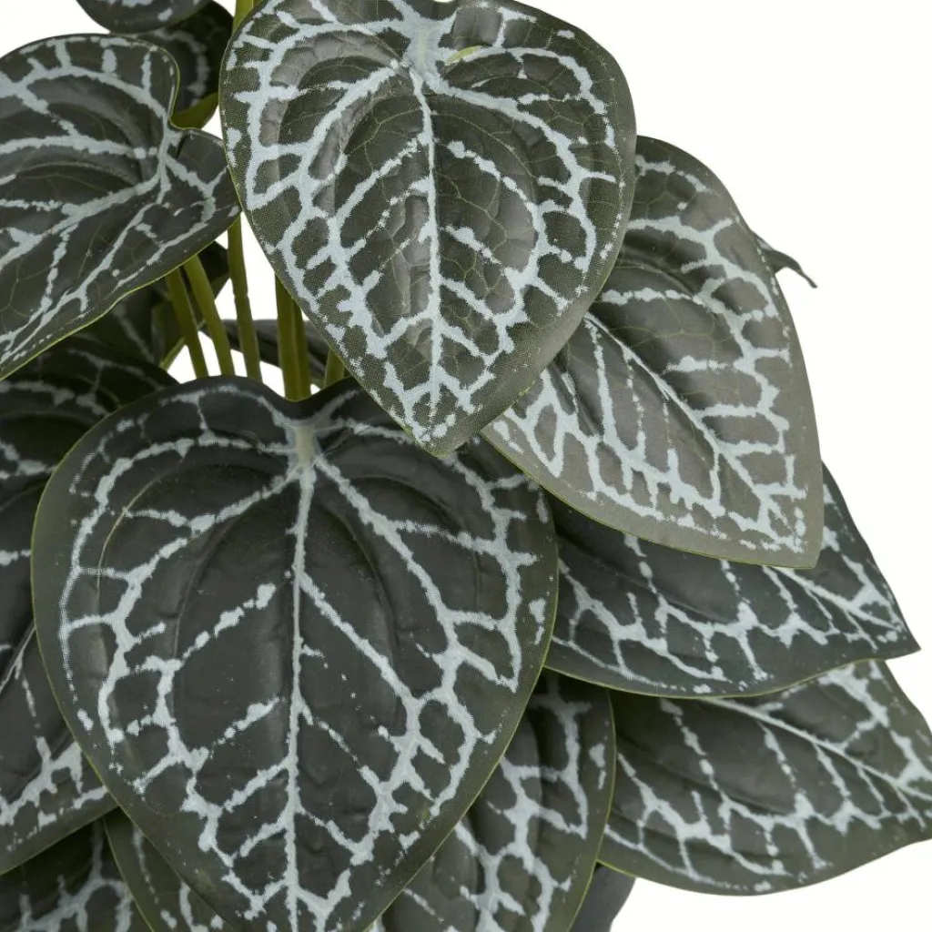 Sale Kunstig Plante H Stue