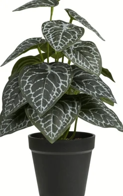 Sale Kunstig Plante H Stue