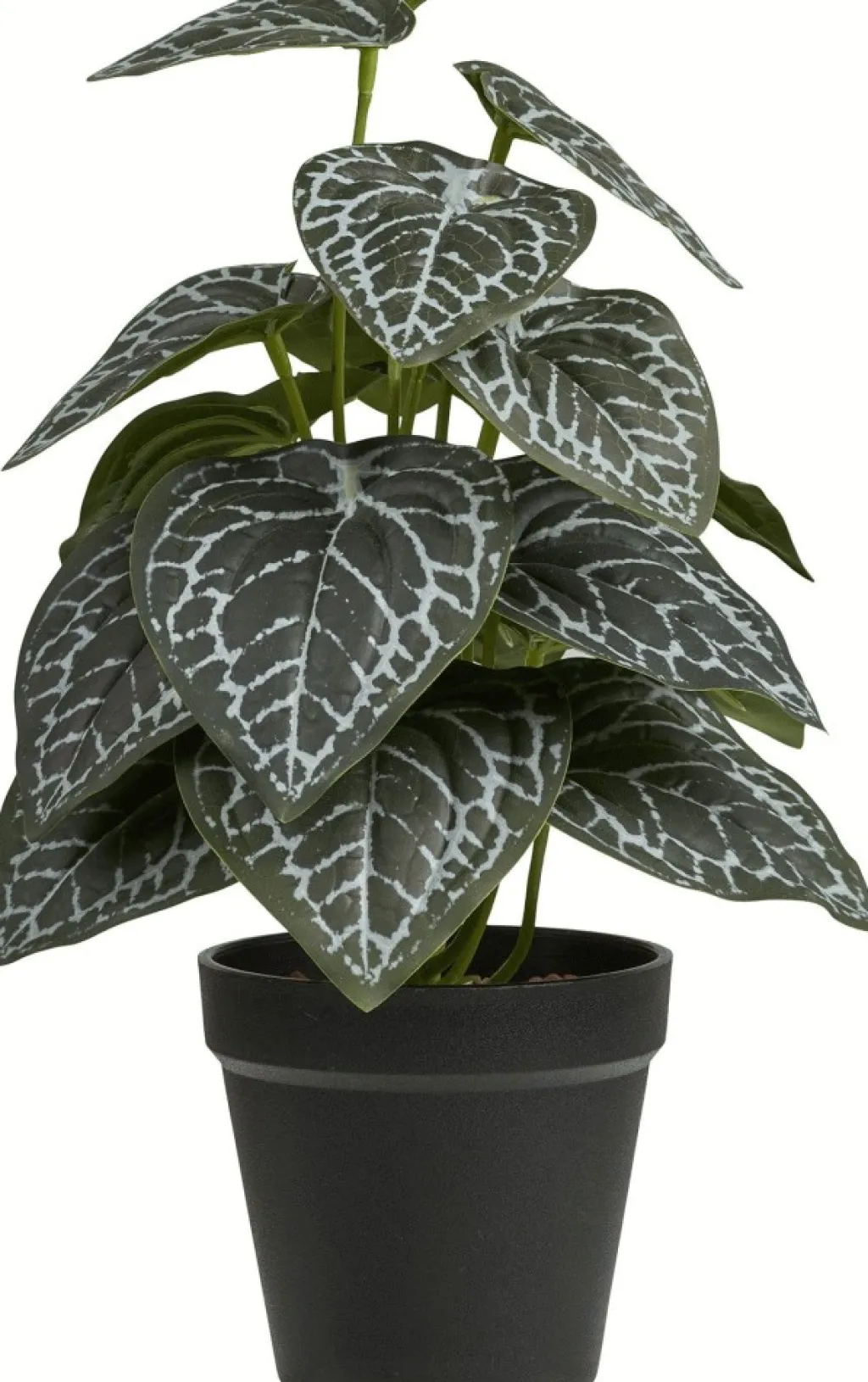 Sale Kunstig Plante H Stue