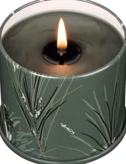 ILLUME Duftlys > Duftlys ?9,7/H8,5 cm, Balsam & Cedar