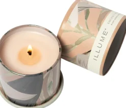 ILLUME Duftlys > Duftlys Ø6,5/H5,7 cm, Coconut Milk Mango