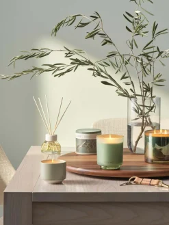 Clearance ILLUME Duftlys ?6,5/H5,7 cm, Hinoki Sage