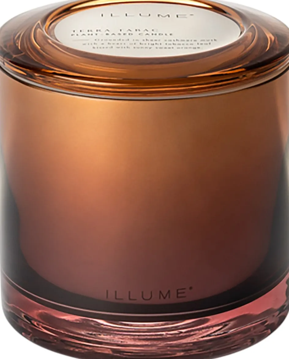Online ILLUME Duftlys ?11,5/H12 cm, Terra Tabac