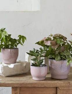 Knabstrup Keramik Urtepotteskjuler H15 cm, Rosa
