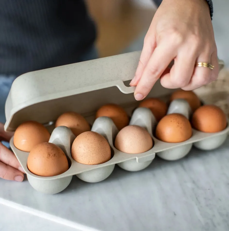 Clearance Koziol EGGS TO GO Æggebakke , Nature Desert Sand