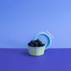 Clearance NORA Snackboks 250 ml, Opbevaring Til Køkkenet|Madkasser Og -Poser