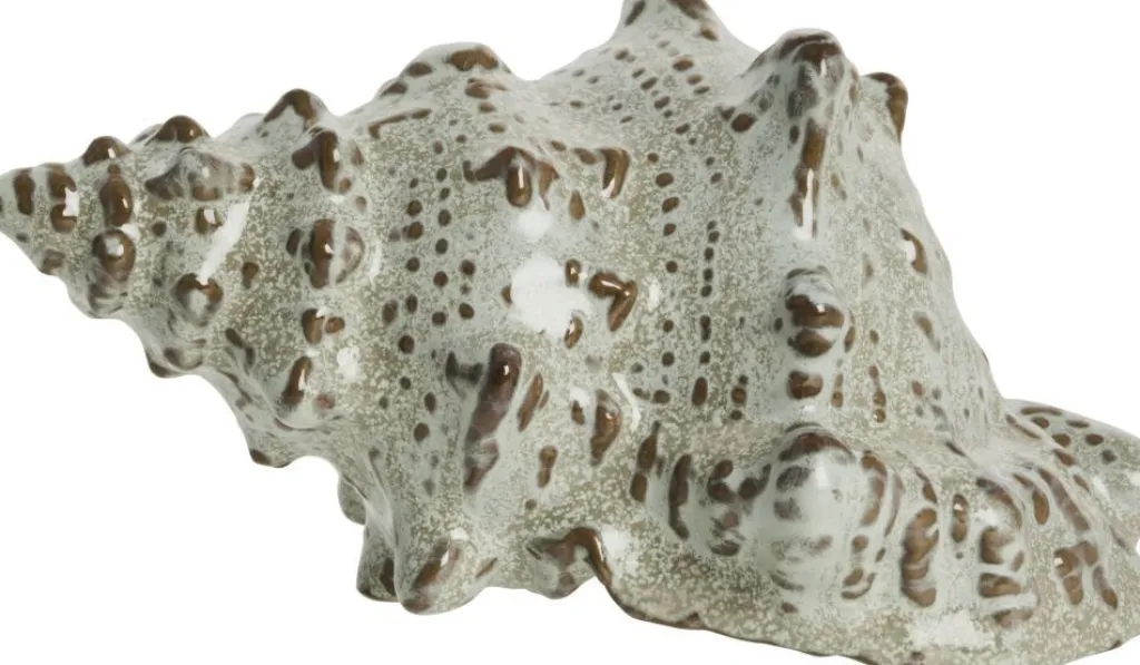 Lene Bjerre Dekorationer > Shellille Konkylie 15 cm, Sand