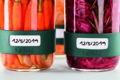 New Lékué Fermenteringskit 700 ml, Grøn