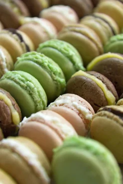 Discount Macaron bagemåtte til 48 stk, 30x40 cm Bagemåtter