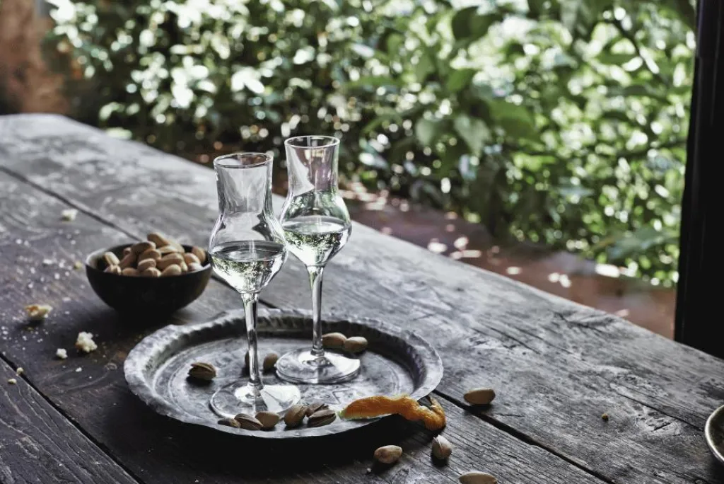 Outlet Atelier Grappaglas 6 stk. 8 cl Vinglas|Vinglas
