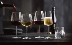 Best Luigi Bormioli Talismano Rødvinsglas 2 stk. 75 cl