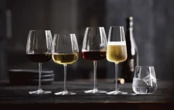 Luigi Bormioli Talismano Champagneglas 2 stk. 40 cl