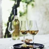 New Luigi Bormioli Vinoteque Spiritus-/Snifterglas 2 stk. 17 cl