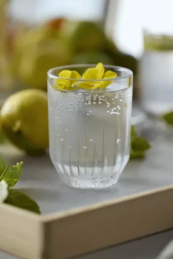 Sale Lyngby Glas Astrid Vandglas 6 stk. 25 cl