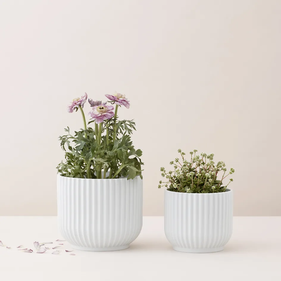 Discount Lyngby Porcelæn Urtepotteskjuler H, Hvid
