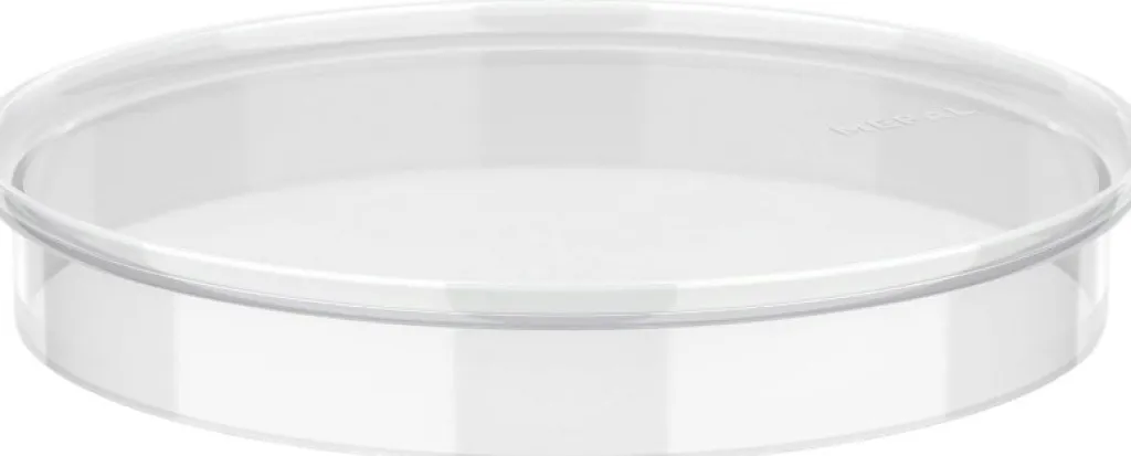 Mepal Skrælleredskaber > Chef It Låg t. Røreskål 1,5 L, Transparent