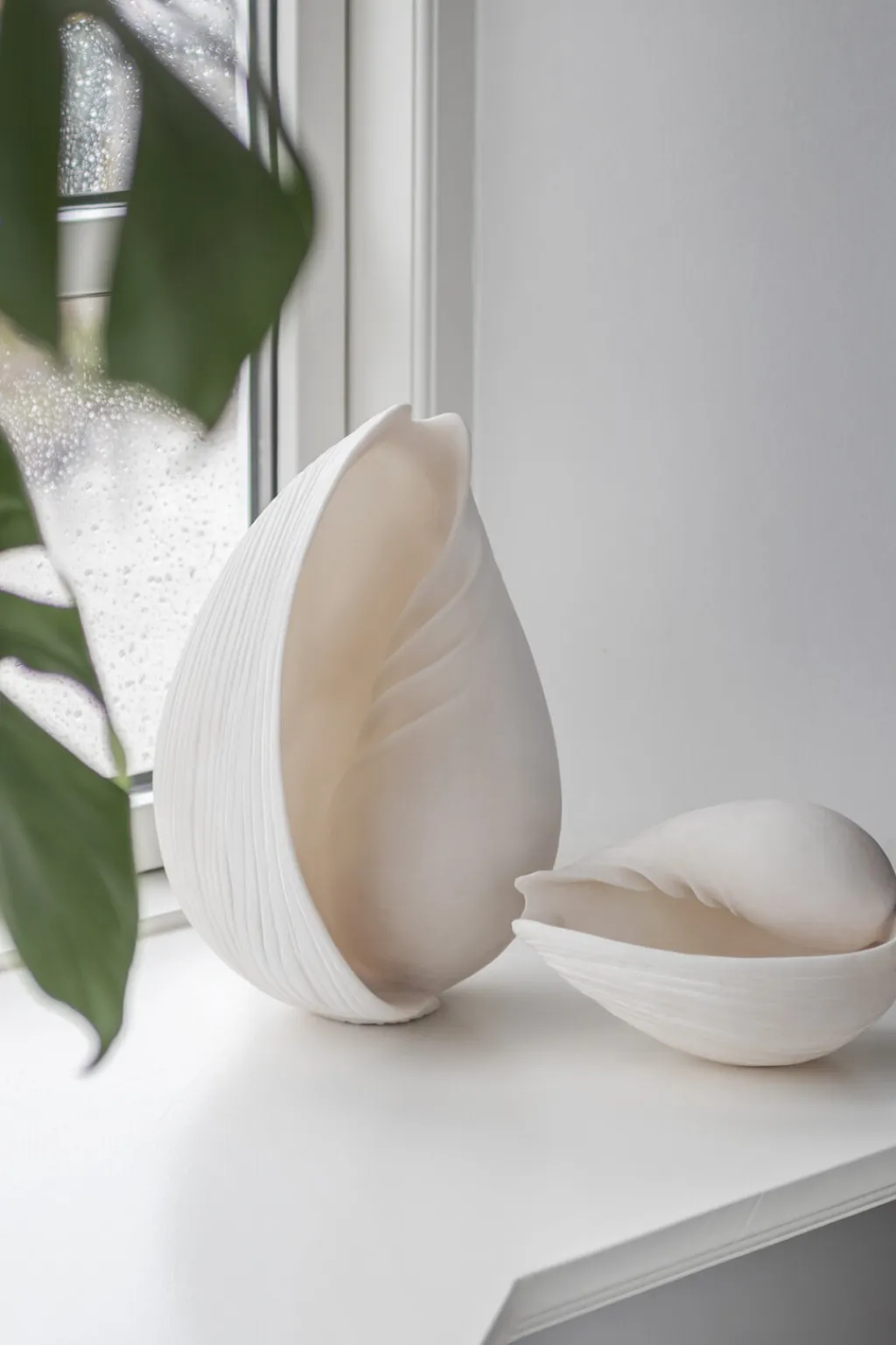 Conch Konkylie , Hvid Stue|Dekorationer