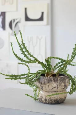 Mette Ditmer Stue|Urtepotter Og Krukker > Raw Krukke H15,5 cm, Off-white