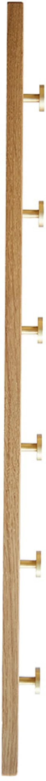 Clearance MOUD Home Oak Knagerække , Eg/Messing