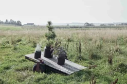 Muubs Stue|Urtepotter Og Krukker > Sai Krukke H, Rust