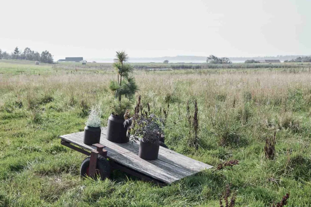 Hot Sai Krukke H, Rust Stue|Urtepotter Og Krukker