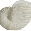 Ketoy Konkylie 51 cm, Hvid Stue|Dekorationer