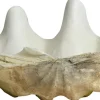 Clearance Kichi Muslingeskal 52 cm, Hvid/Beige Stue|Opbevaring Til Badeværelset