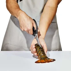 Discount OXO Skaldyrssaks, Sort
