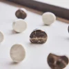 OYOY Badeværelse|Knager Og Knagerækker > LIVING Savi Knage 4 cm, Choko