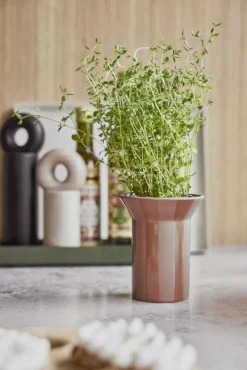 Best Luonto Potte H11,5 cm, Terracotta Stue|Urtepotter Og Krukker
