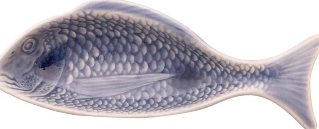 Hot Fiskeskål , Blå Skåle|Spisestue