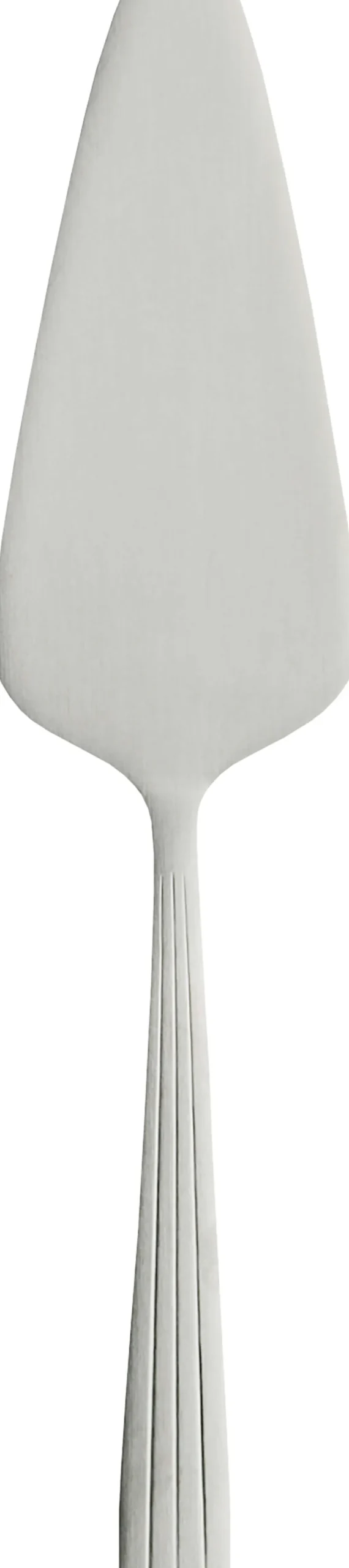 RAW Serveringsbestik > Kagespade 22,5 cm,