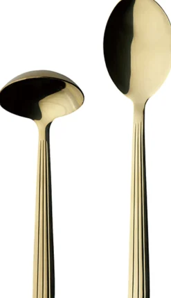 Hot RAW Serveringssæt , Champagne Guld
