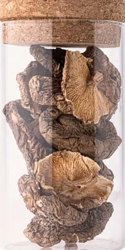 Hot Umami Shiitake-svampe 20 g Salt Og Peber|Salt Og Peber
