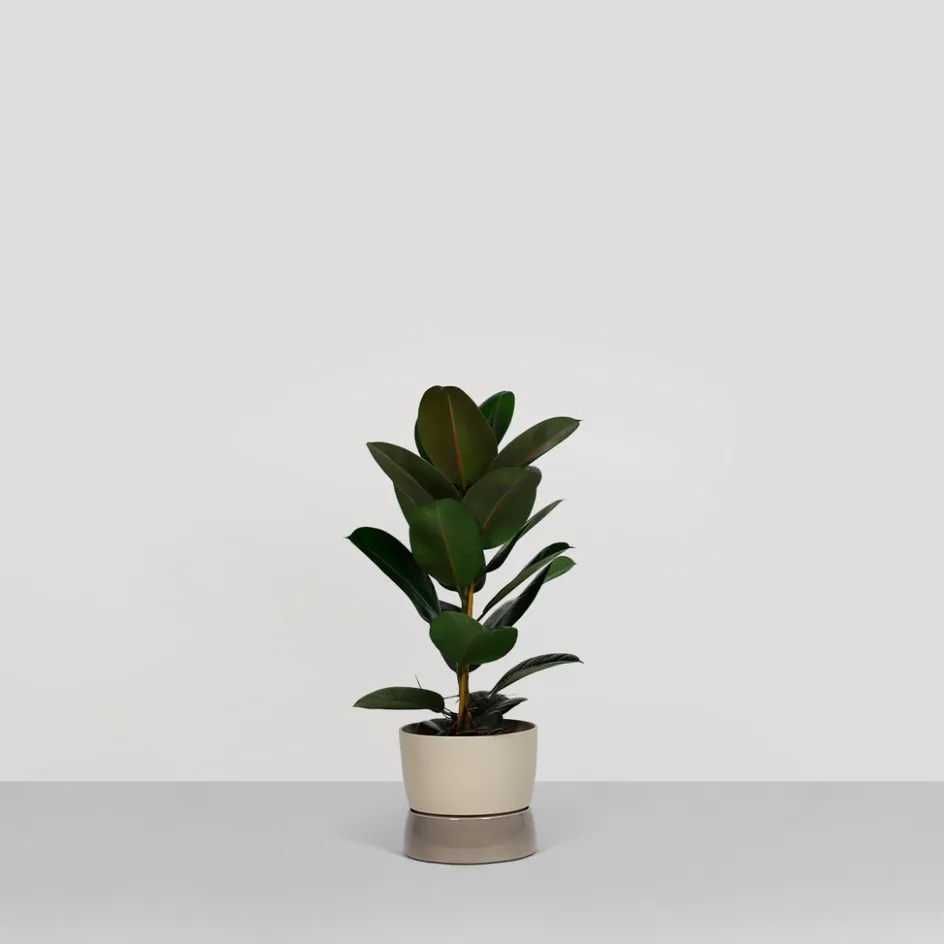Online Ro Collection Two Tone Urtepotteskjuler H, Dune Grey