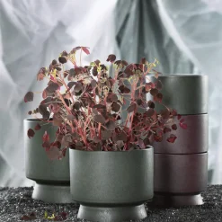 Hot Rosendahl Recycled Urtepotteskjuler H, Mørk Grøn