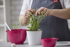 Rosti Margrethe Røreskål , Beetroot