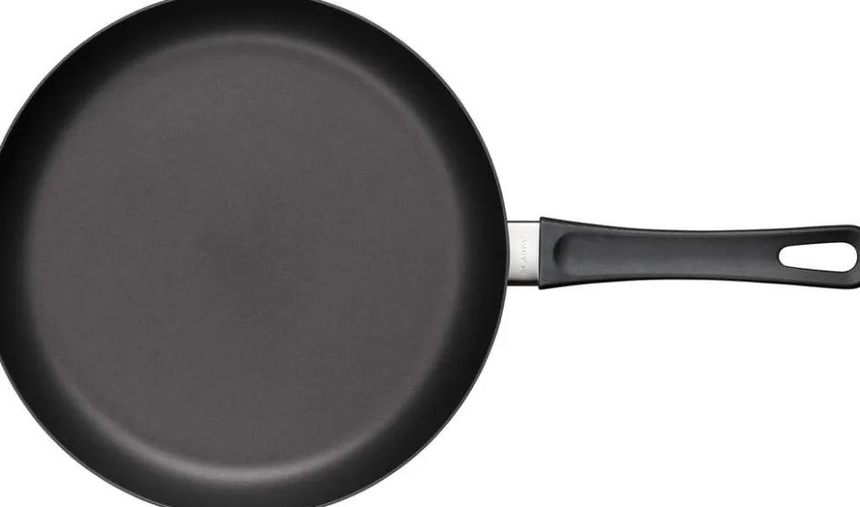 Sale Scanpan Classic Induction Stegepande