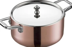 Scanpan Maitre D' Stållåg 20 cm