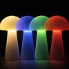 Sam Trådløs Bordlampe H29 cm, Mat Hvid Bordlamper|Trådløse Lamper