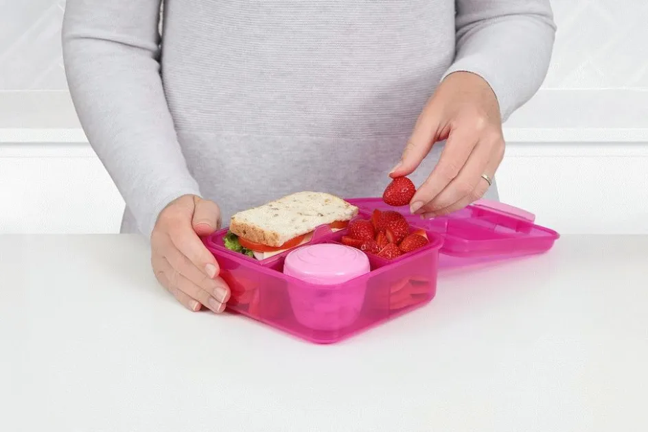 Sistema Bento Lunch Madkasse , Pink