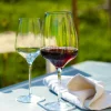 Stölzle Lausitz Vinglas|Vinglas > Experience Vinglas Bordeaux 6 stk. 64,5 cl