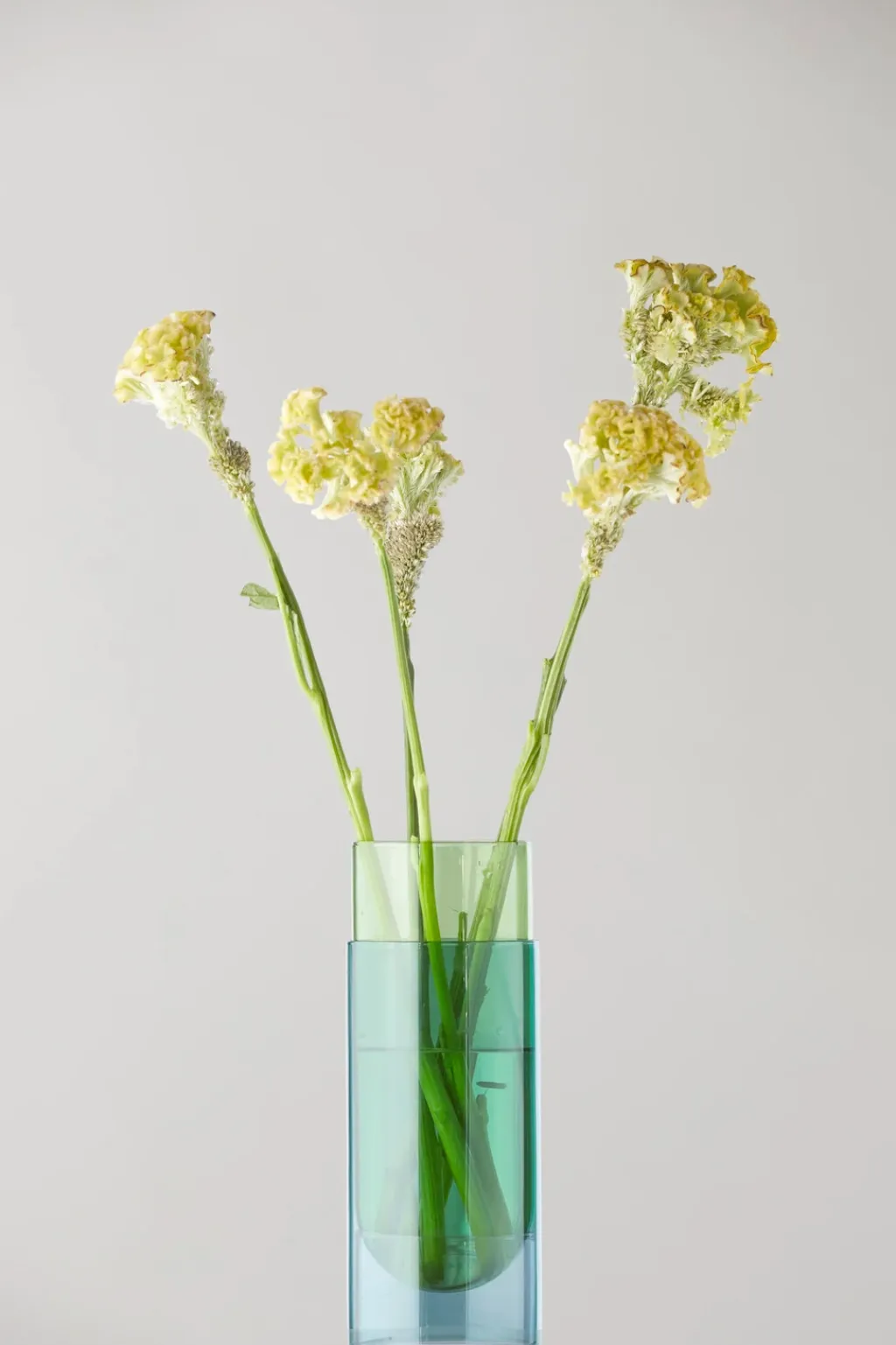 Online Bouquet Tube Vase H27 cm, Stue|Vaser
