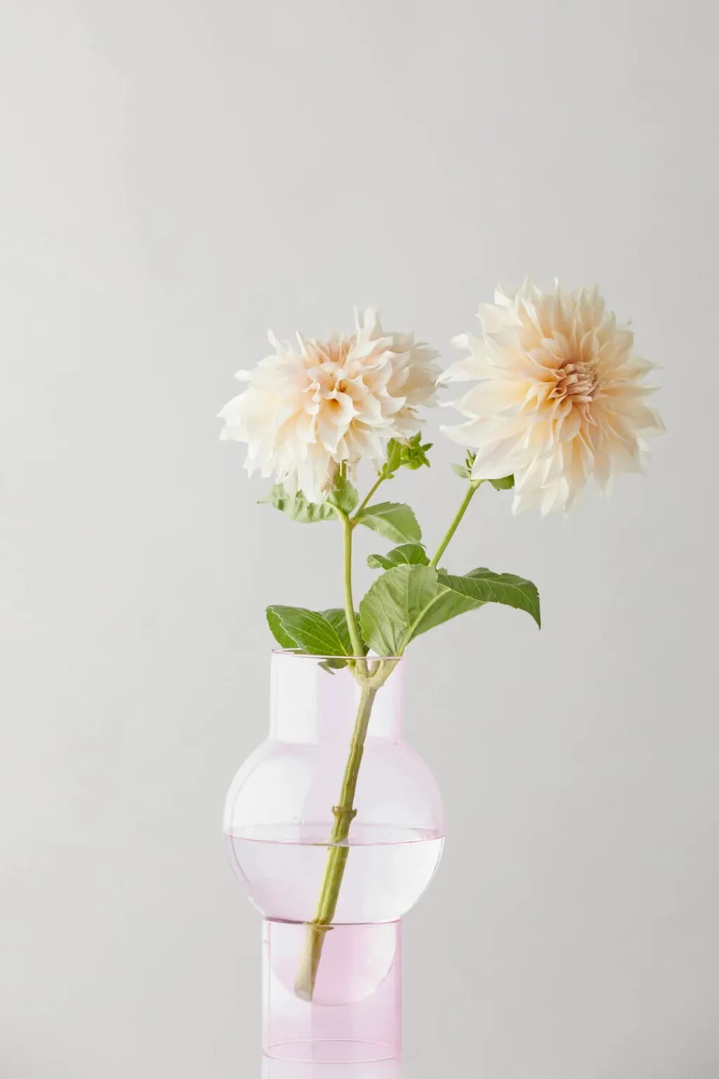 Clearance Bubble Tube Vase H27 cm, Stue|Vaser