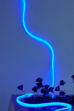 Studio About Indendørs Lyskæder > Flex Tube LED-lysrør 5 m,