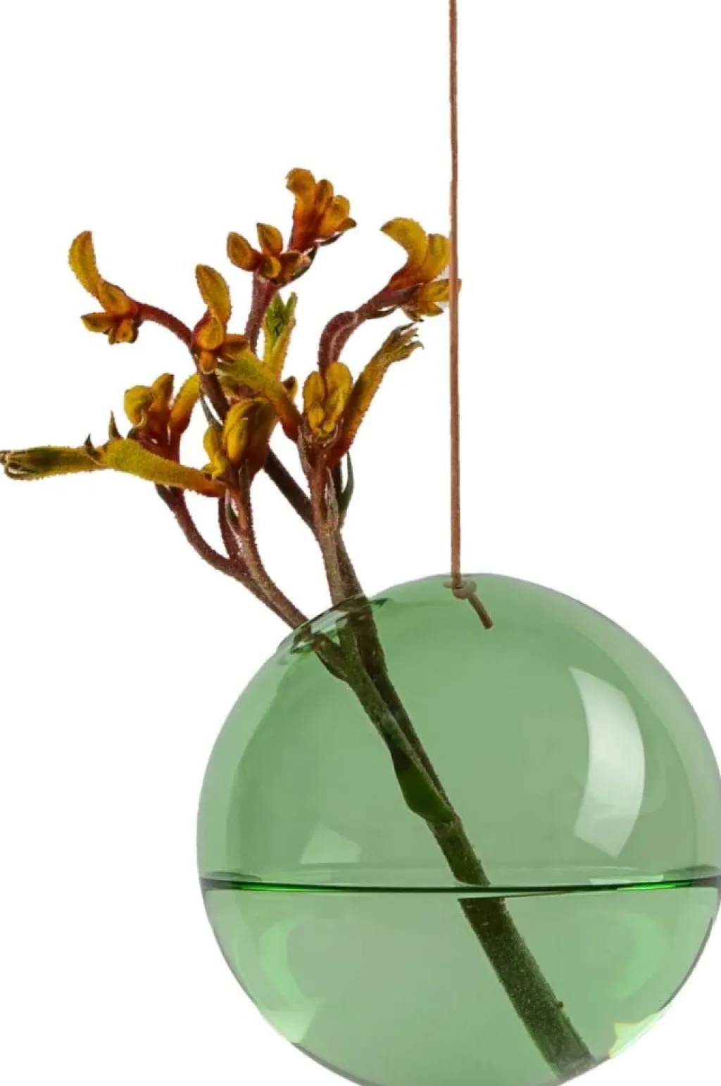 Studio About Stue|Vaser > Hanging Flower Bubble Vase ,