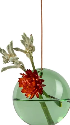 Best Hanging Flower Bubble Vase , Stue|Vaser